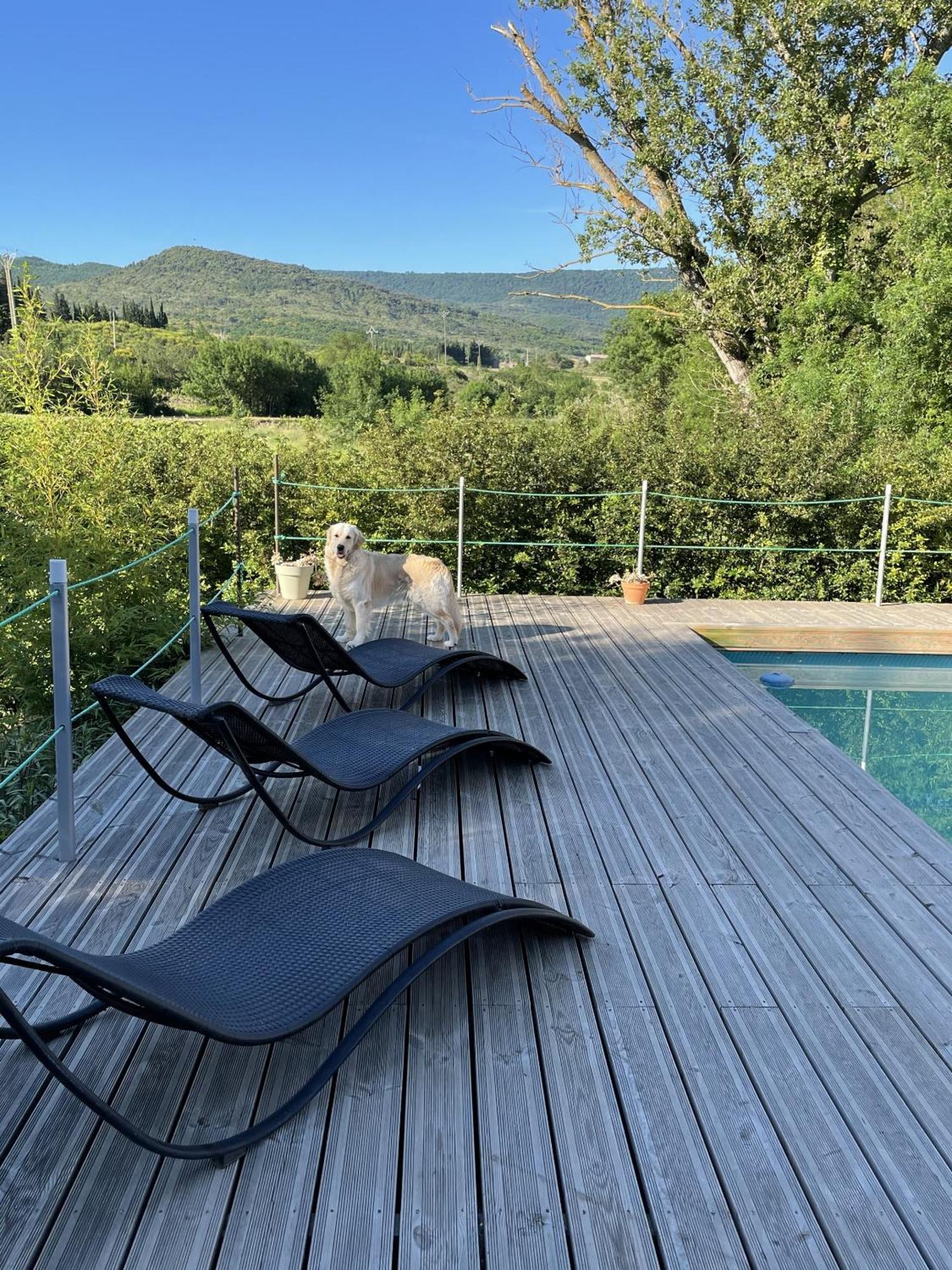Le Domaine De La Tuilerie - Gite De Charme En Bord De Riviere Avec Piscine Servies-en-Val Eksteriør bilde