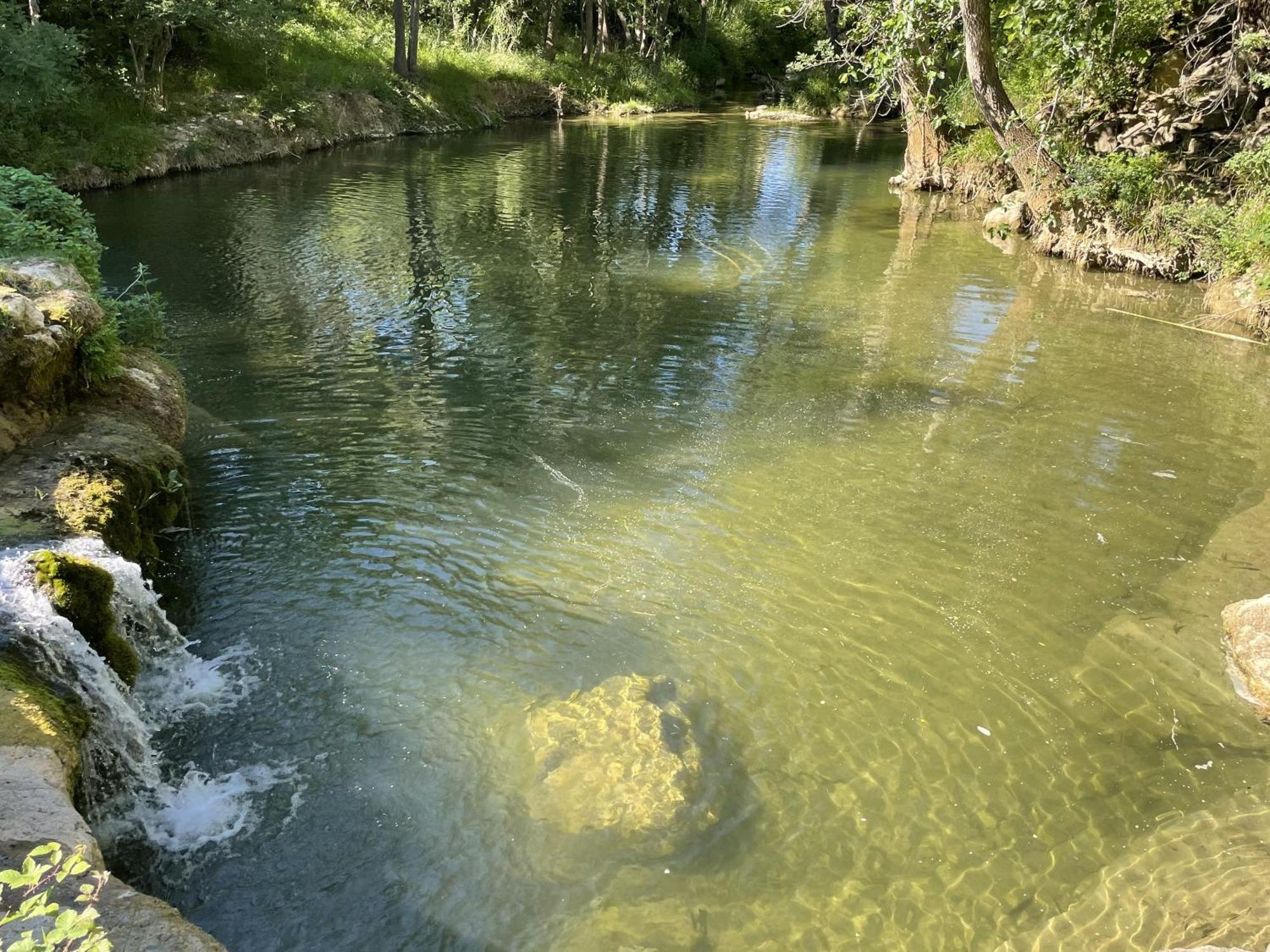 Le Domaine De La Tuilerie - Gite De Charme En Bord De Riviere Avec Piscine Servies-en-Val Eksteriør bilde