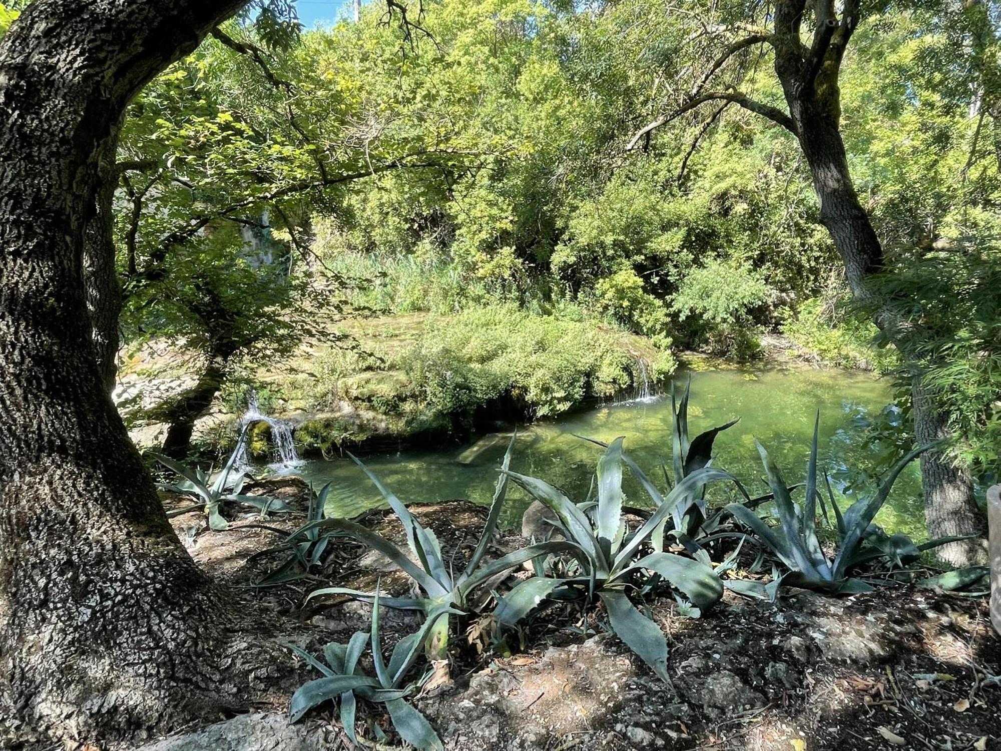 Le Domaine De La Tuilerie - Gite De Charme En Bord De Riviere Avec Piscine Servies-en-Val Rom bilde